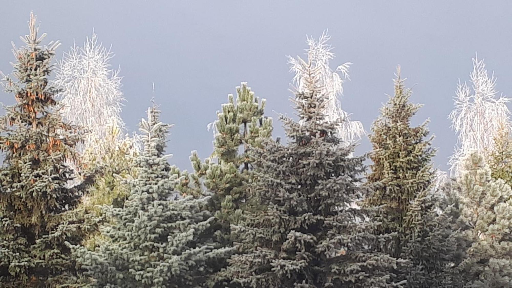 Pokoje Apartamenty Pod Limba Zakopane Exteriör bild