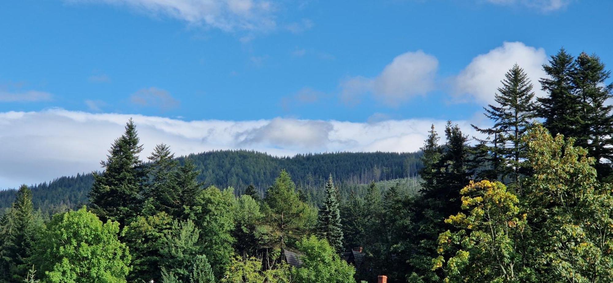 Pokoje Apartamenty Pod Limba Zakopane Exteriör bild