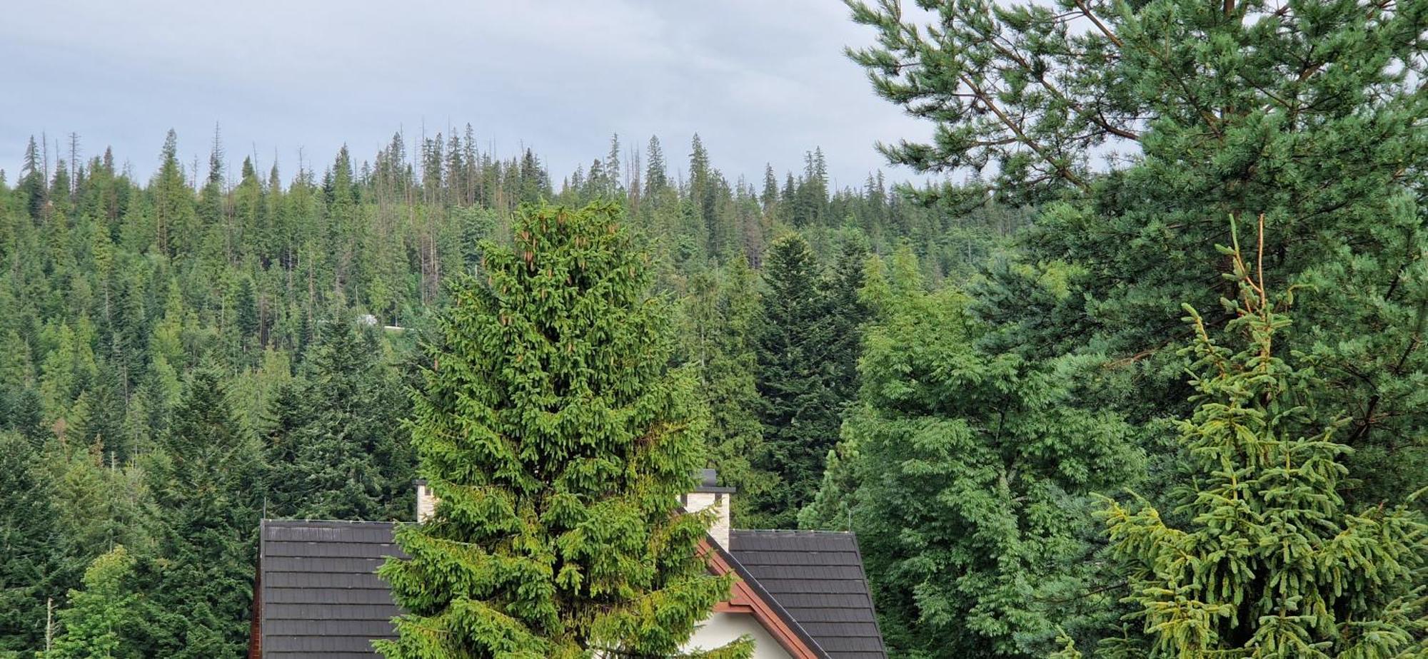 Pokoje Apartamenty Pod Limba Zakopane Exteriör bild